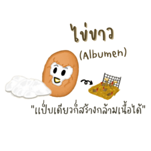 egg white powder