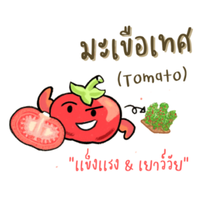 lycopene tomato