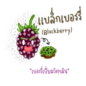 blackberry