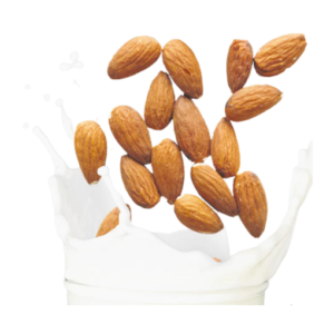 Almond Milk Powder by KoonAnan